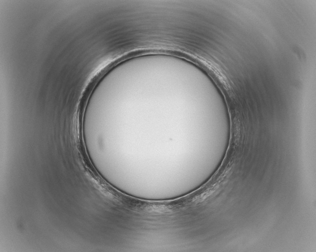 X0000115430982200911251222