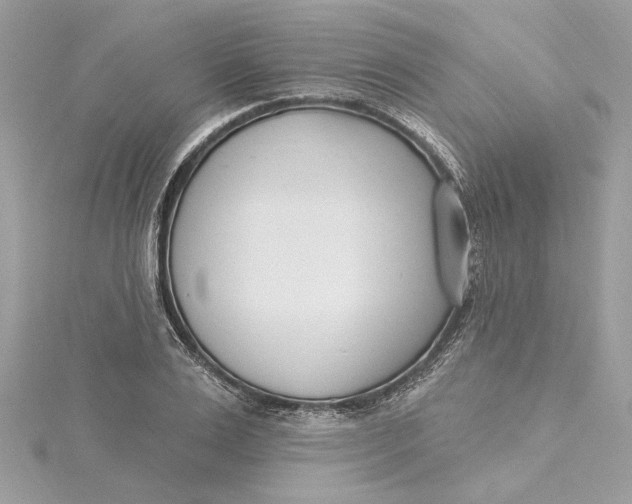 X0000115430983200911251222