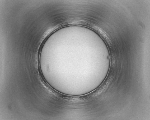 X0000115430986200911251222