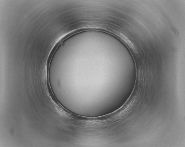 X0000115430988200911251222