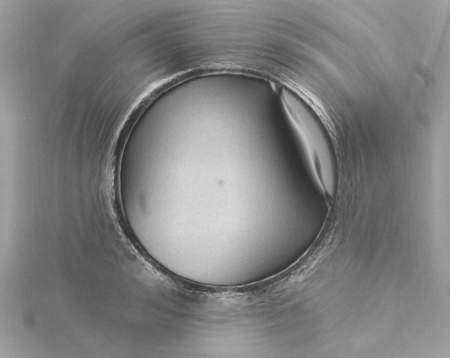 X0000115430992200911251222