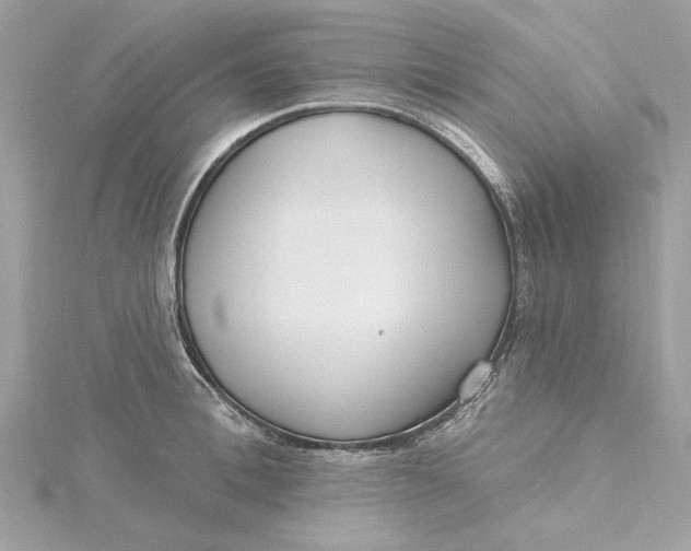 X0000115430996200911251222