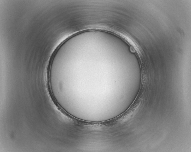 X0000115430999200911251222