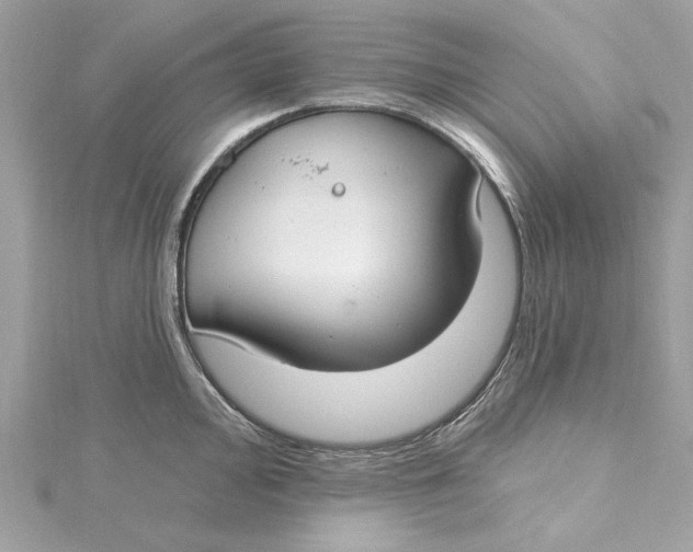 X0000115431000200911251222