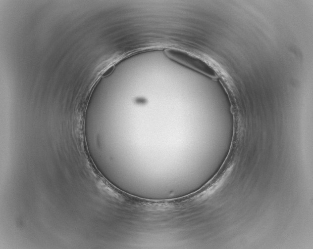 X0000115431001200911251222