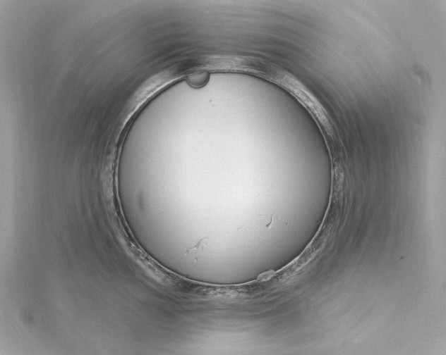 X0000115431002200911251222