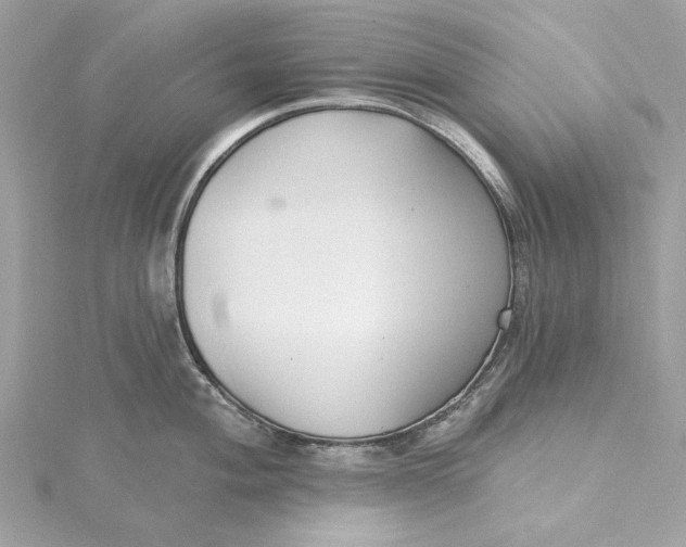 X0000115431004200911251222