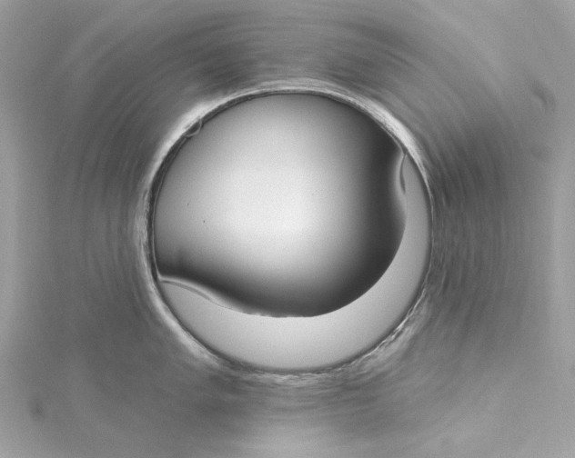 X0000115431005200911251222