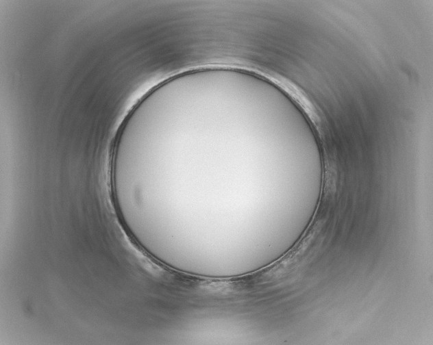 X0000115431006200911251222