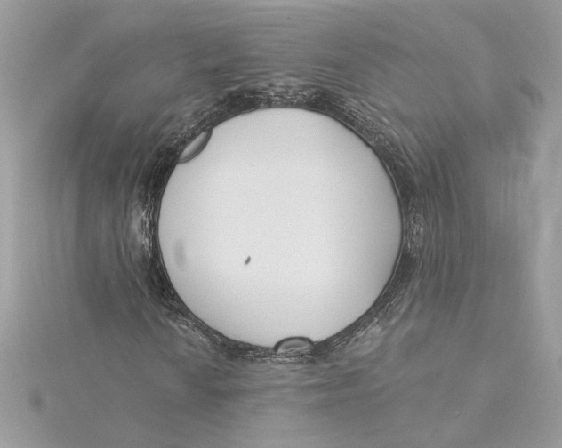 X0000115431010200911251221