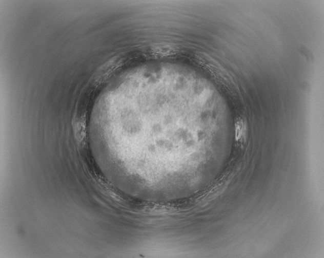 X0000115431011200911251221