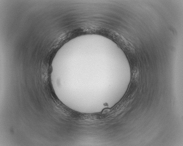 X0000115431012200911251221