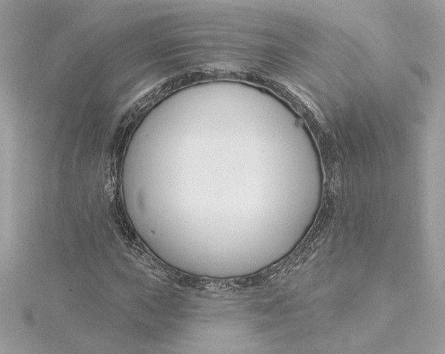 X0000115431015200911251221