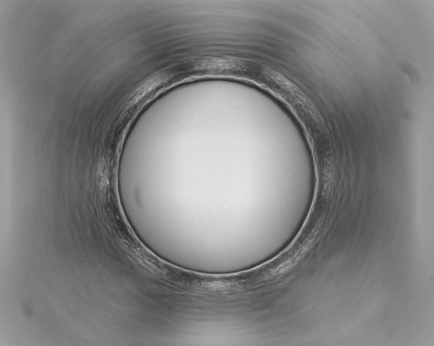 X0000115431017200911251221