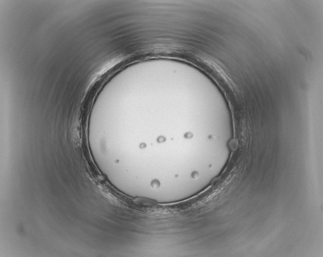 X0000115431018200911251221