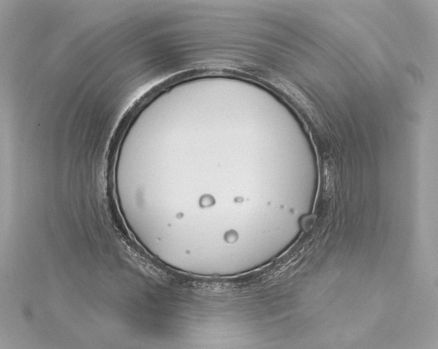 X0000115431020200911251221