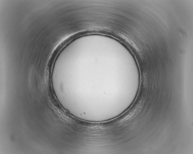 X0000115431021200911251221