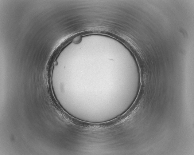 X0000115431022200911251221