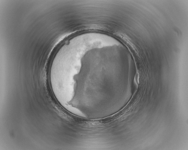 X0000115431024200911251221