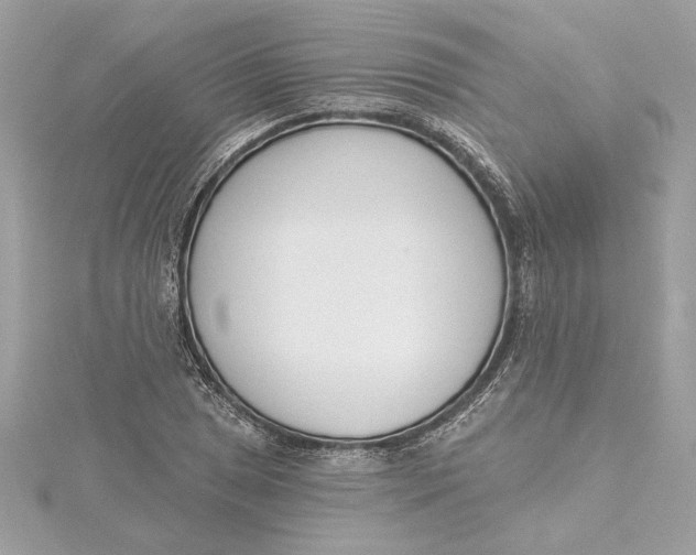 X0000115431025200911251221