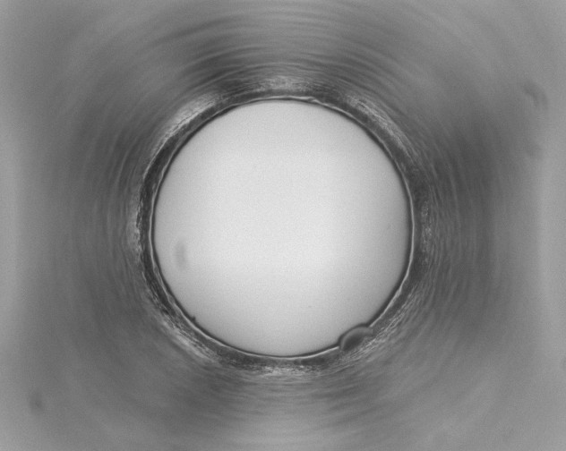 X0000115431026200911251221