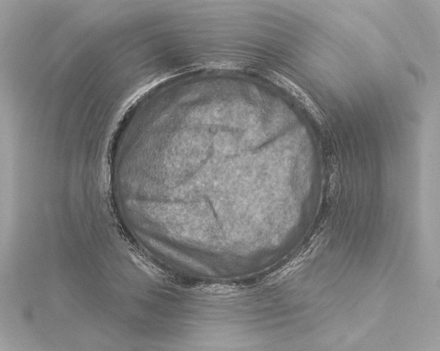 X0000115431027200911251221