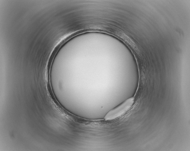 X0000115431028200911251221