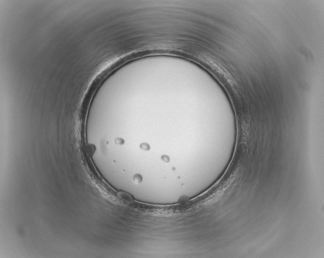 X0000115431029200911251221