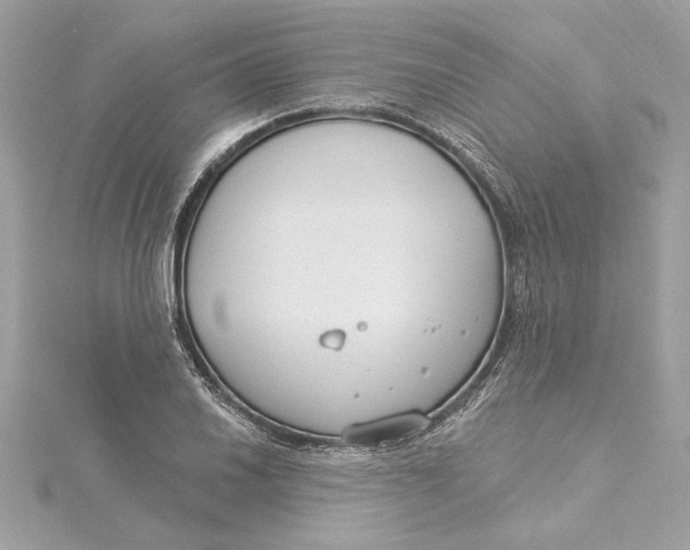 X0000115431030200911251221