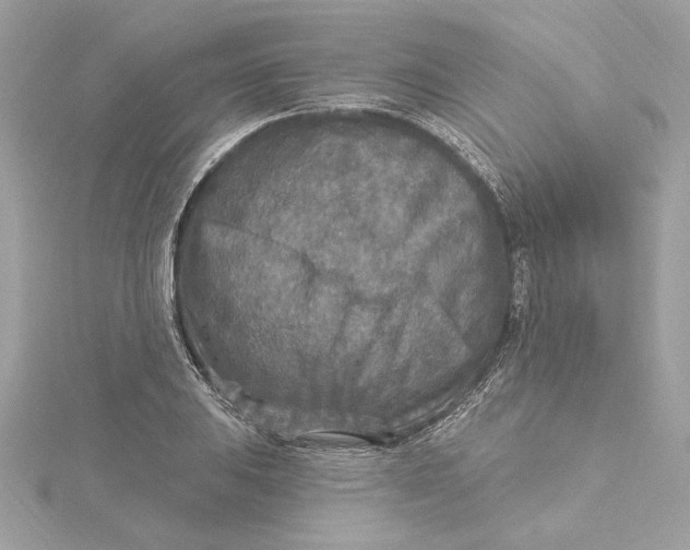 X0000115431031200911251221