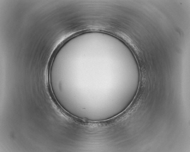 X0000115431032200911251221