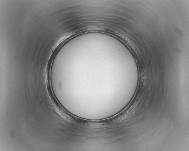 X0000115431034200911251221