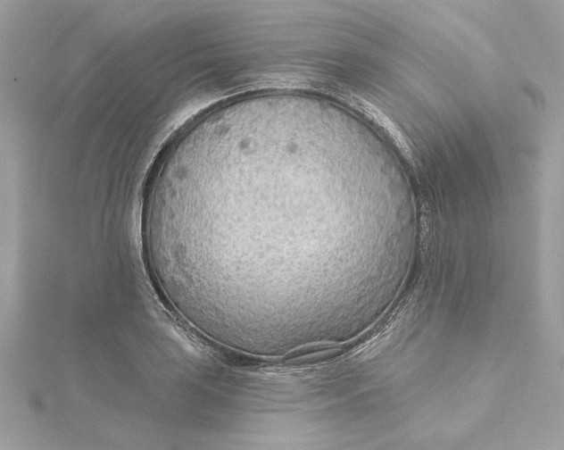 X0000115431035200911251221