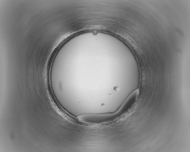 X0000115431038200911251221