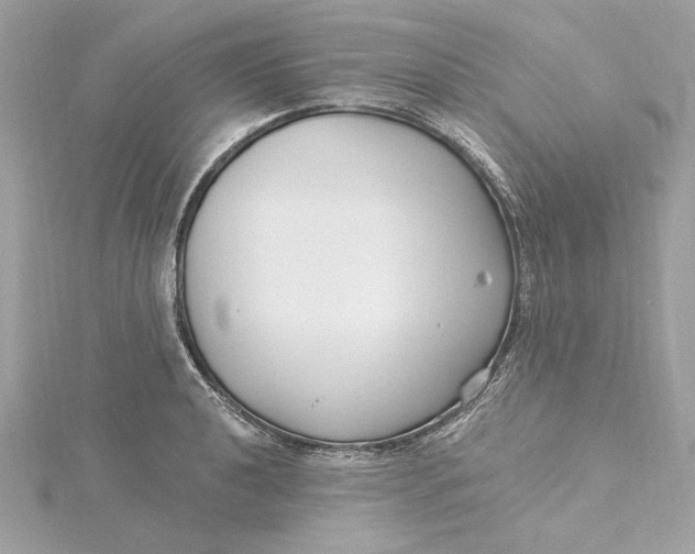 X0000115431040200911251221