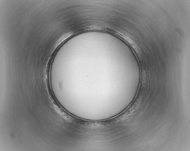 X0000115431042200911251221