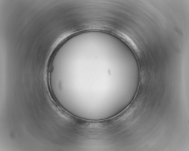 X0000115431043200911251221