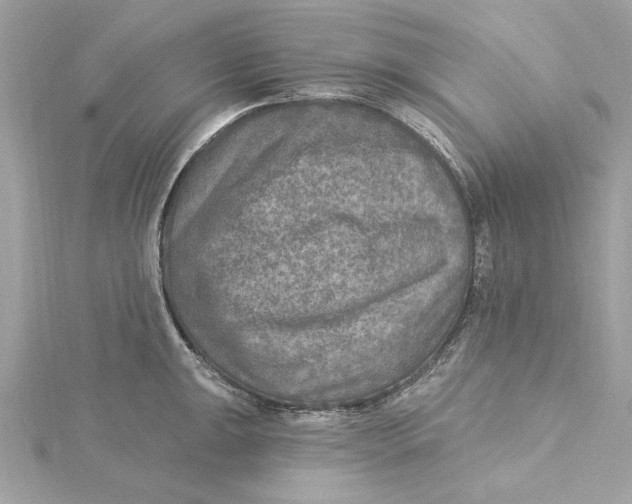 X0000115431047200911251221