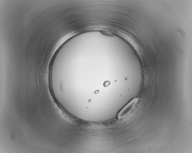 X0000115431050200911251221