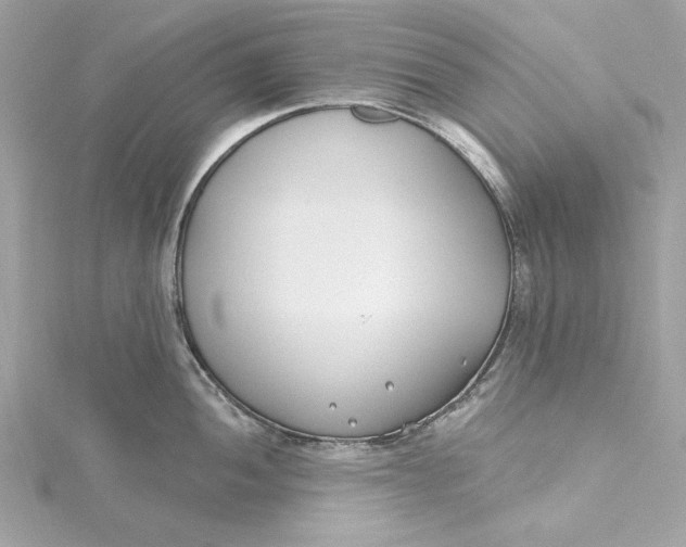 X0000115431052200911251221