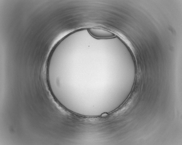 X0000115431053200911251221