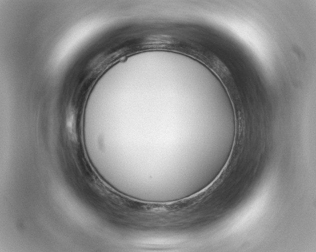 X0000115431054200911251221