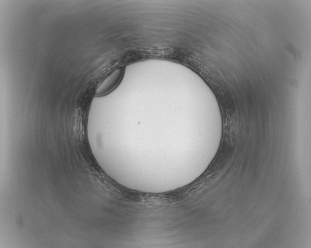 X0000115431058200911251221