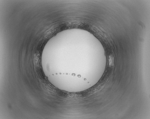 X0000115431059200911251221