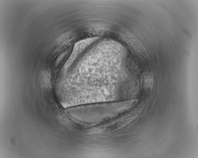 X0000115431060200911251221