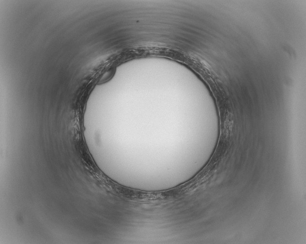 X0000115431062200911251221