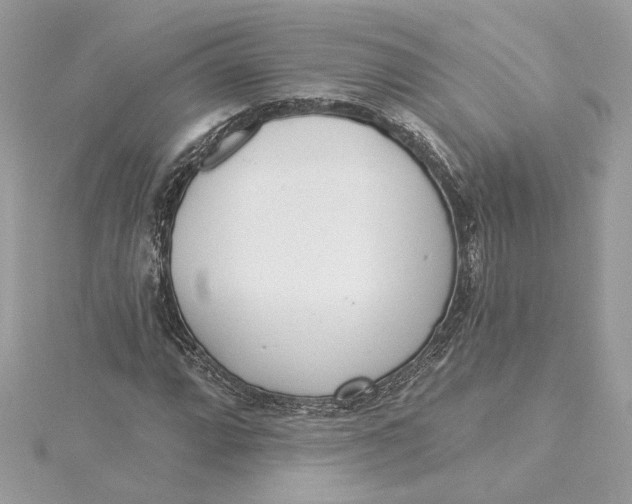 X0000115431064200911251221