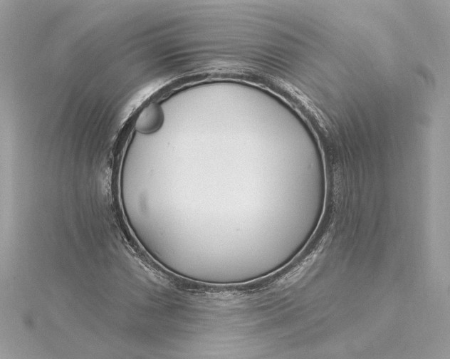 X0000115431066200911251221