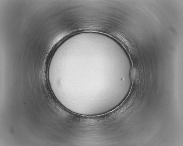 X0000115431071200911251221