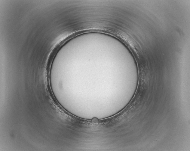 X0000115431072200911251221